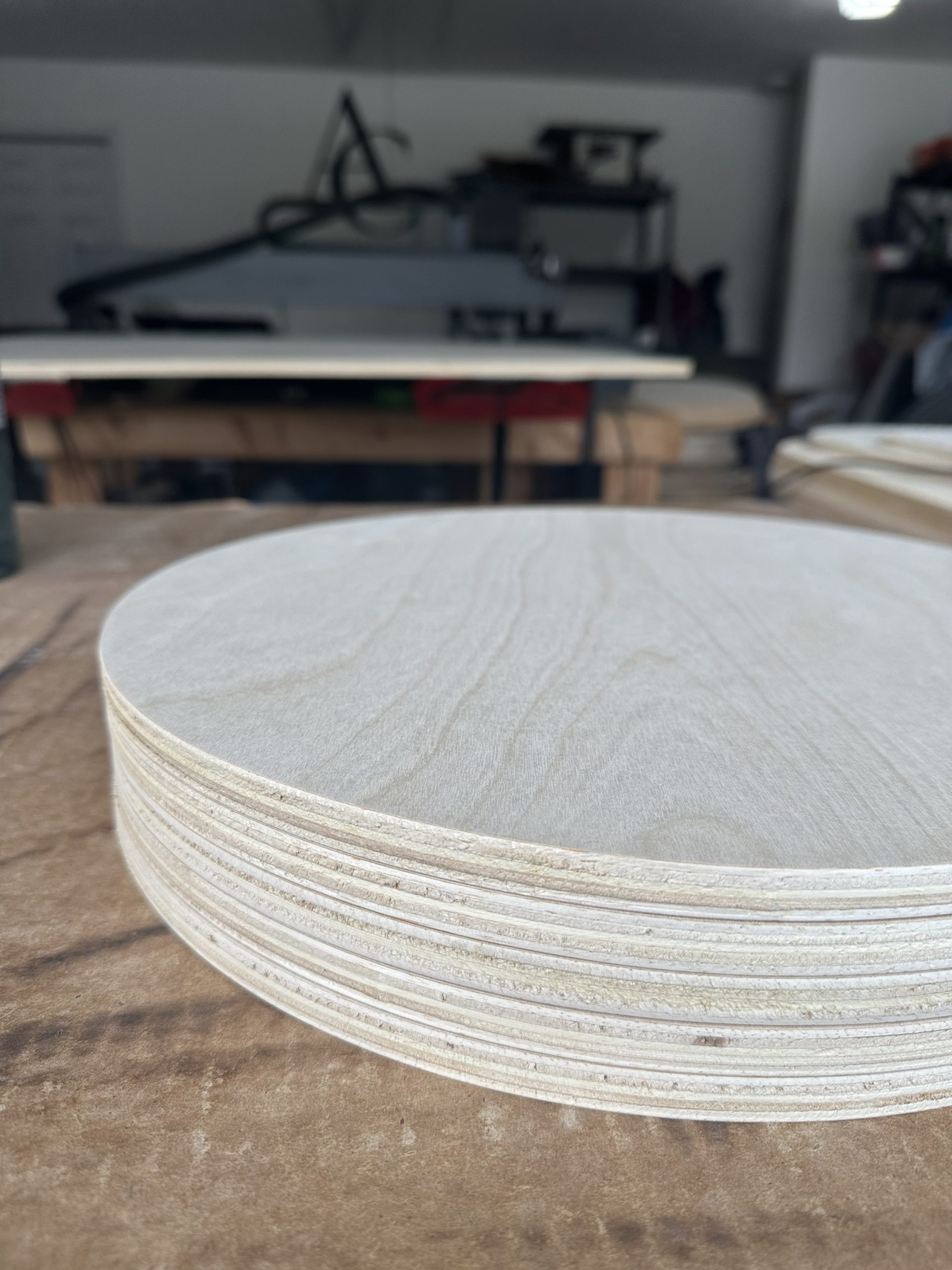12-Pack | 18" Birch Wood Rounds | 1/2" Thick - Image 4