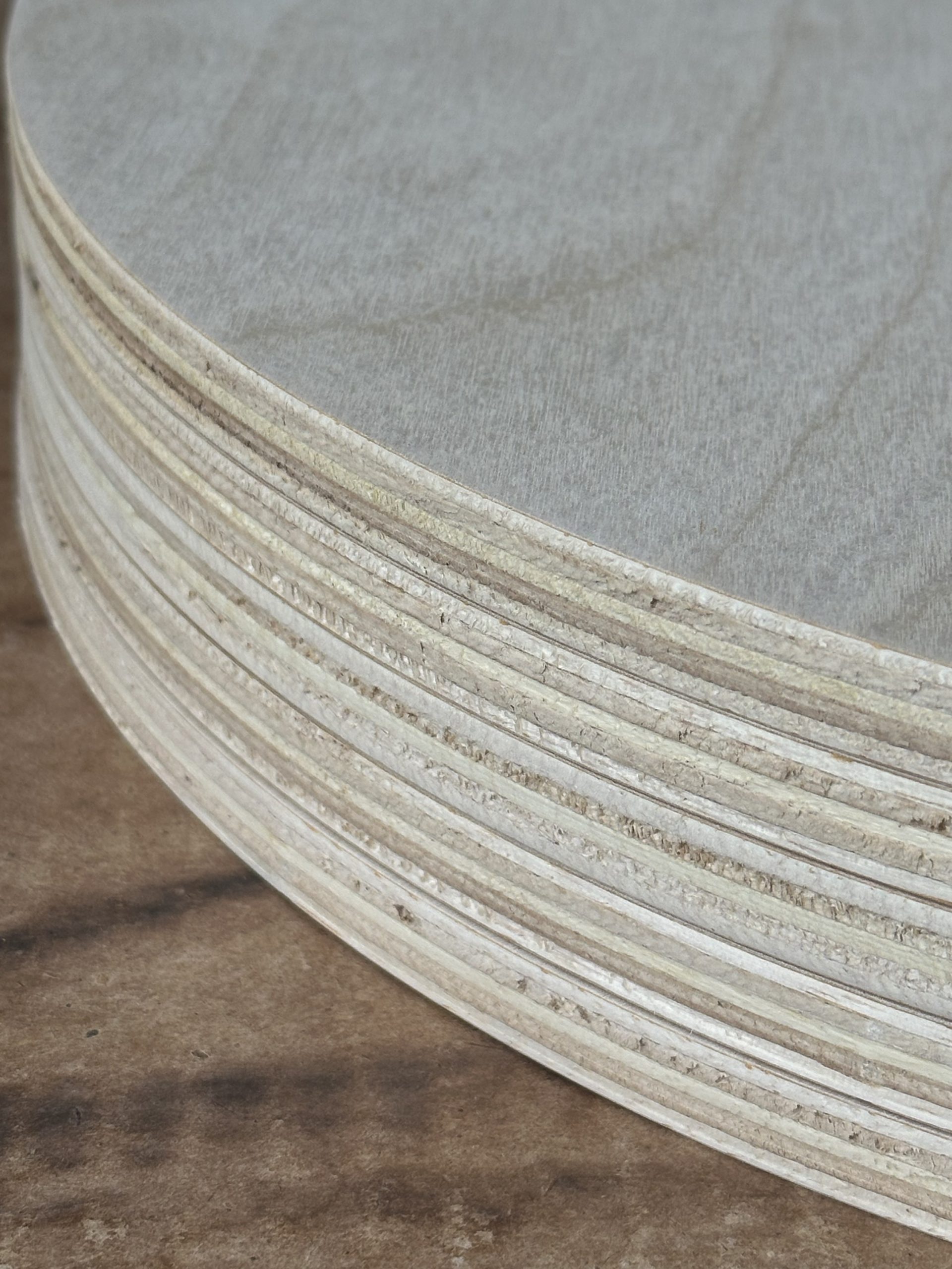 12-Pack | 18" Birch Wood Rounds | 1/2" Thick - Image 3