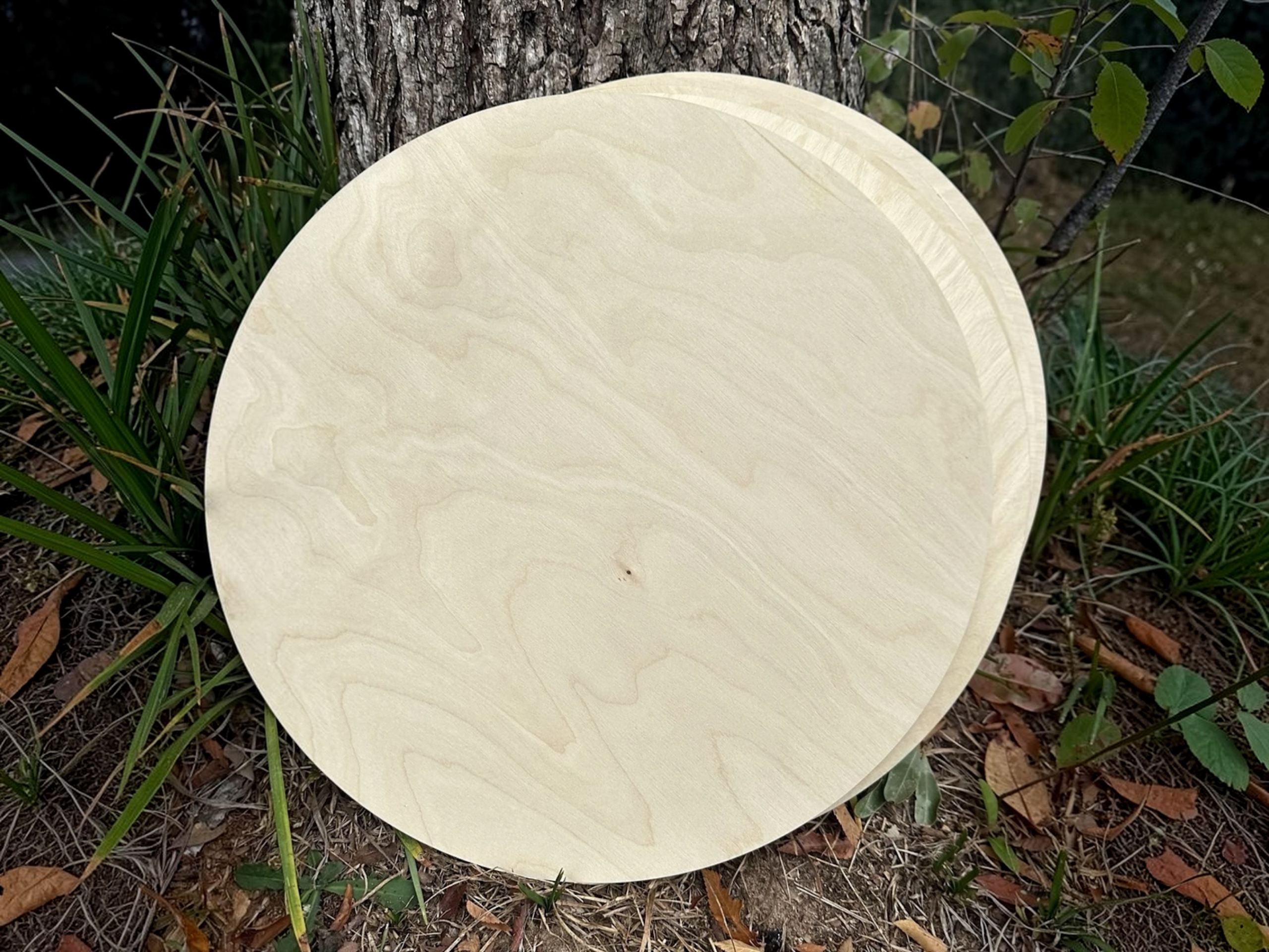 18" Birch Wood Rounds – 1/2" Thick - Craft Ready - Image 2